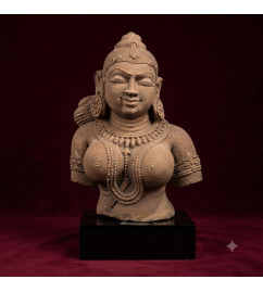 Lady bust 