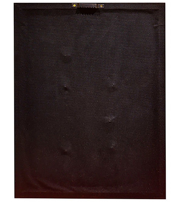 Brass Antique Styamev Jayate With Framed