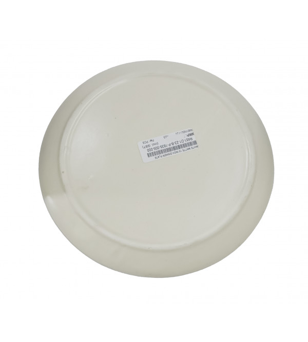 White Matte 10 Inch Dinner Plate
