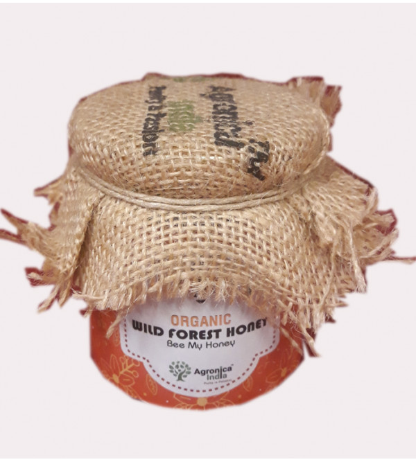 Organic Wild Forest Honey 225gm