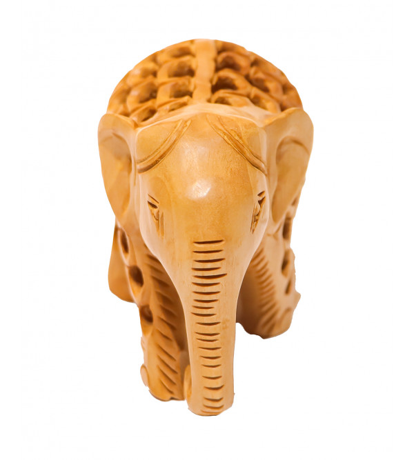 Elephant Undercut 2 Inch Kadam