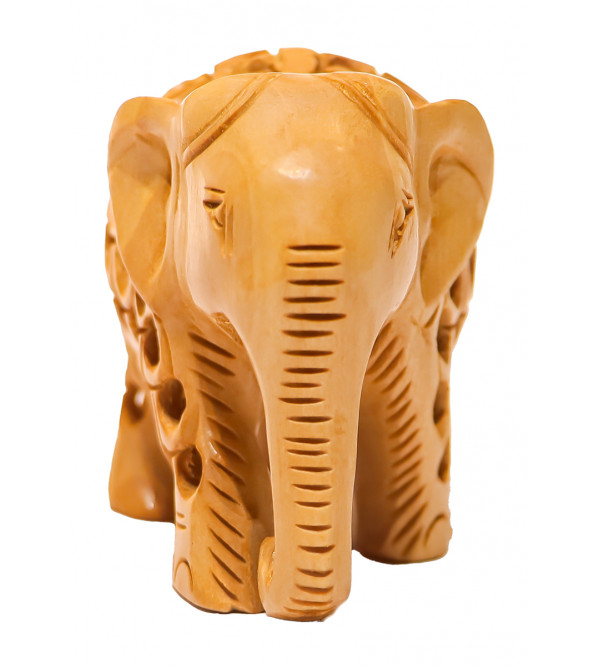 Elephant Undercut 2 Inch Kadam