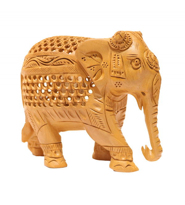 Elephant Undercut 5 Inch Kadam