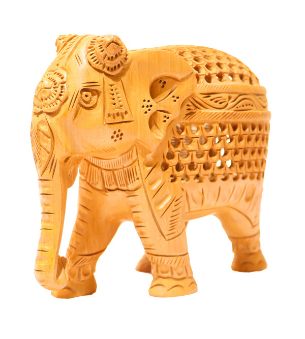 Elephant Undercut 5 Inch Kadam