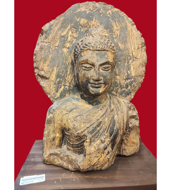 18X14 GANDHARA  BUST BLACK STONE