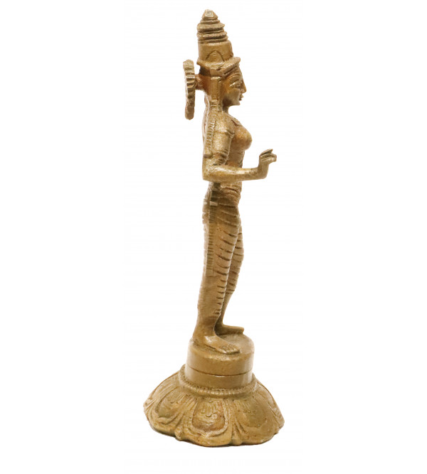 BRONZE STANDING SIVAGAMI