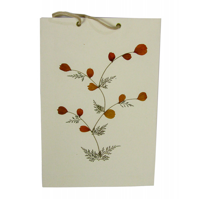 Paper Bag With  Leaf Design-08X10 Inch (200 GSM) (Pack of 10 Peices) Assorted Colours & Design