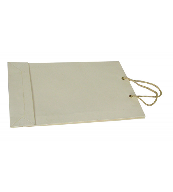 Paper Bag With  Leaf Design-08X10 Inch (200 GSM) (Pack of 10 Peices) Assorted Colours & Design