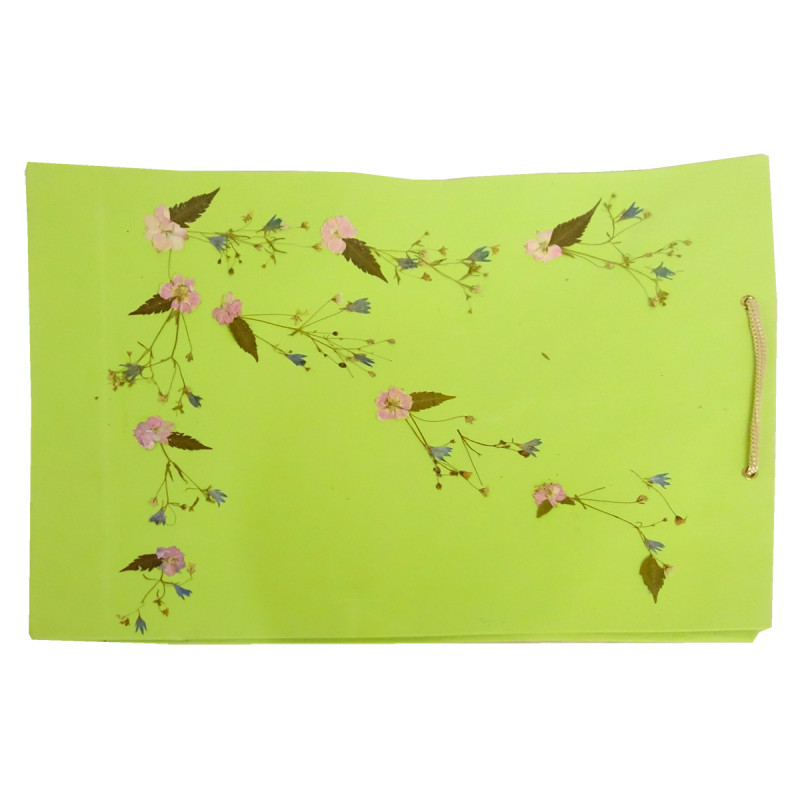 Paper Bag With  Leaf Design-11X14 Inch (Pack of 10 Peices) Assorted Colours & Design