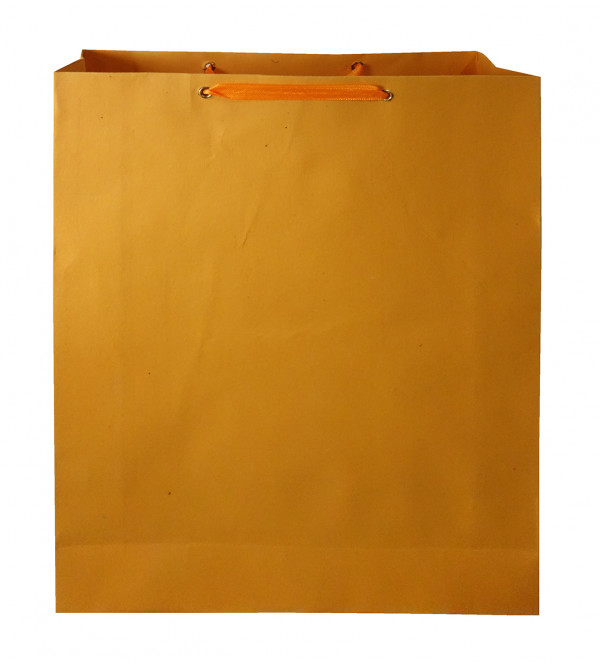 Paper Bag With  Leaf Design-11X15 Inch (200 GSM) (Pack of 10 Peices) Assorted Colours & Design