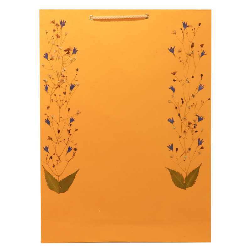 Paper Bag With  Leaf Design-11X14 Inch (200 GSM) (Pack of 10 Peices) Assorted Colours & Design