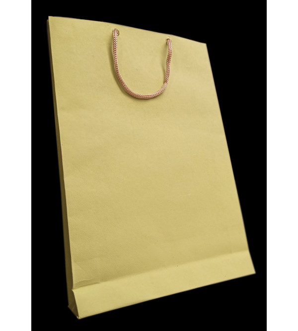 Paper Bag With  Leaf Design-08X10 Inch (200 GSM) (Pack of 10 Peices) Assorted Colours & Design