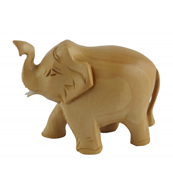 Tu Elephant Plain Kadam Wood 2.5 INCH