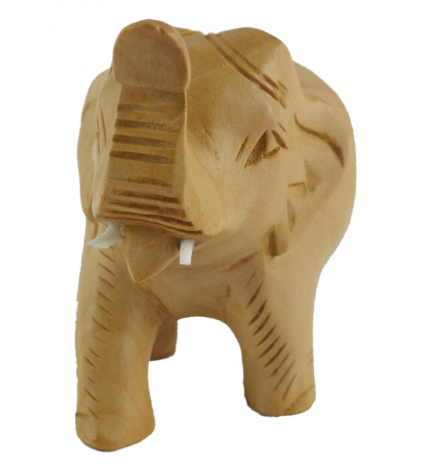 Tu Elephant Plain Kadam Wood 2.5 INCH