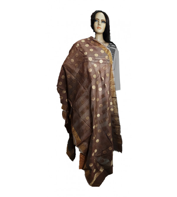 Zari Katan Silk Chanderi Handwoven Dupatta From Banaras