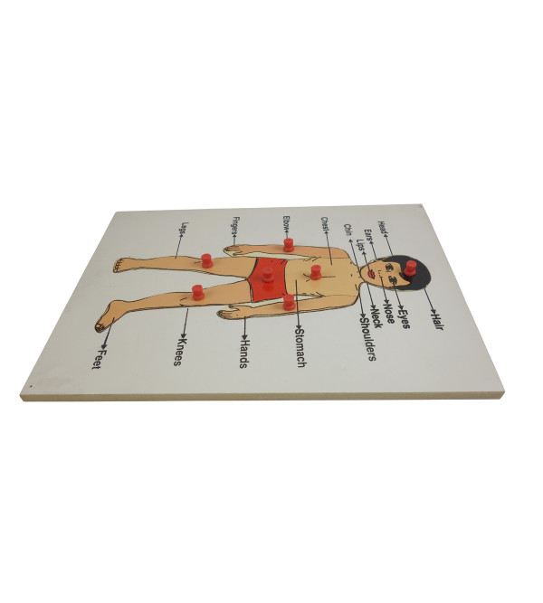 Education Toy Wooden Jigsaw Puzzle Body Part