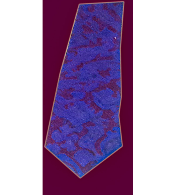 TIES PRINTED SILK  1PC