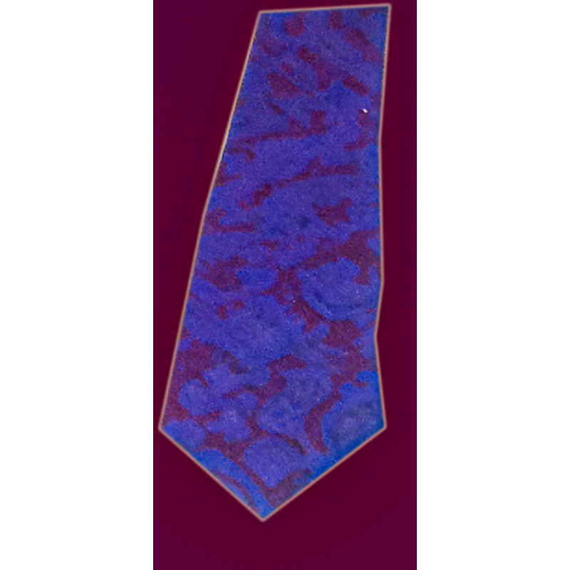 TIES PRINTED SILK  1PC