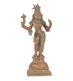 Bronze  Arthanari 6 Inch