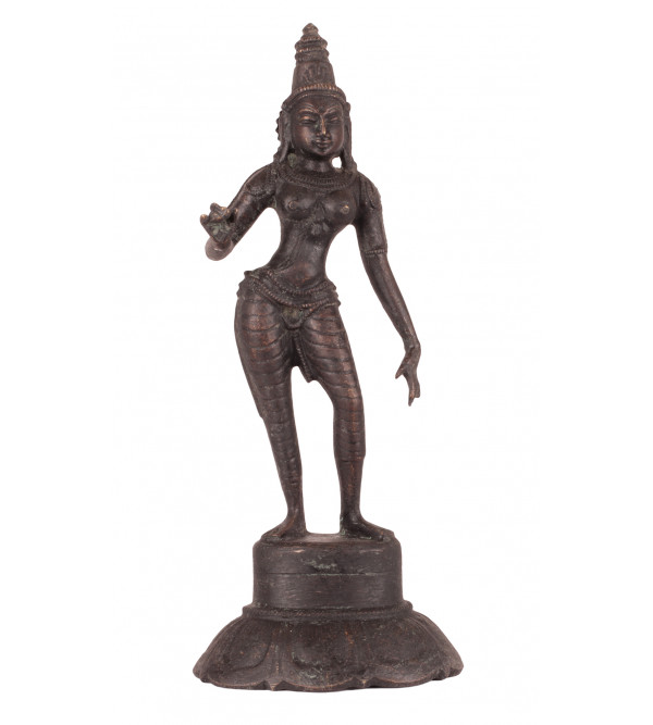 Bronze  Parvati 6 Inch