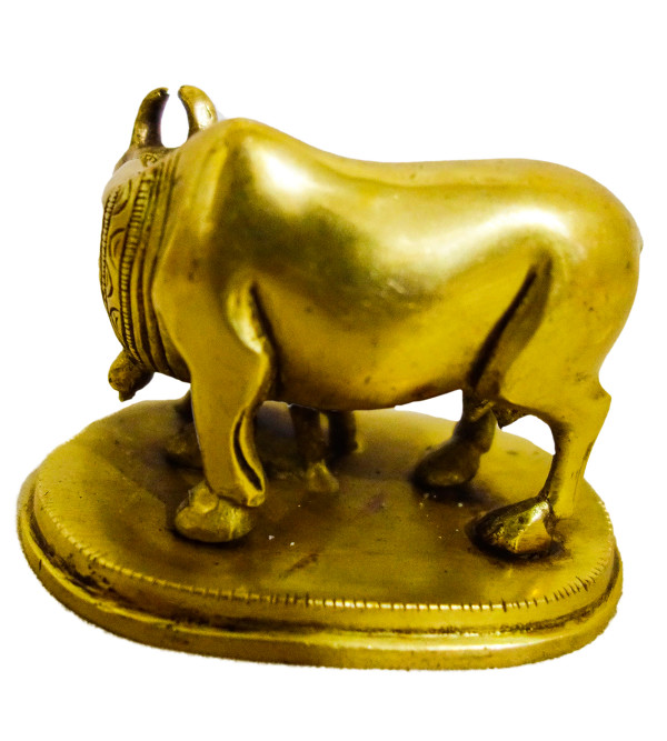 Brass Cow Calf Plain 2.5 Inch 