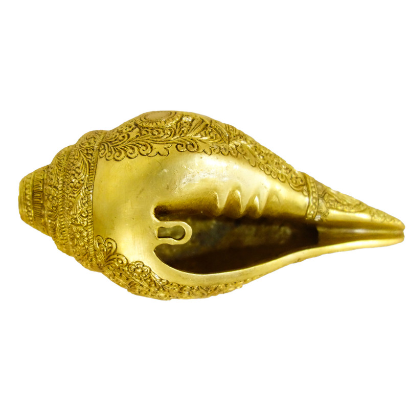 Brass Vishnu Viraat Roop Shank